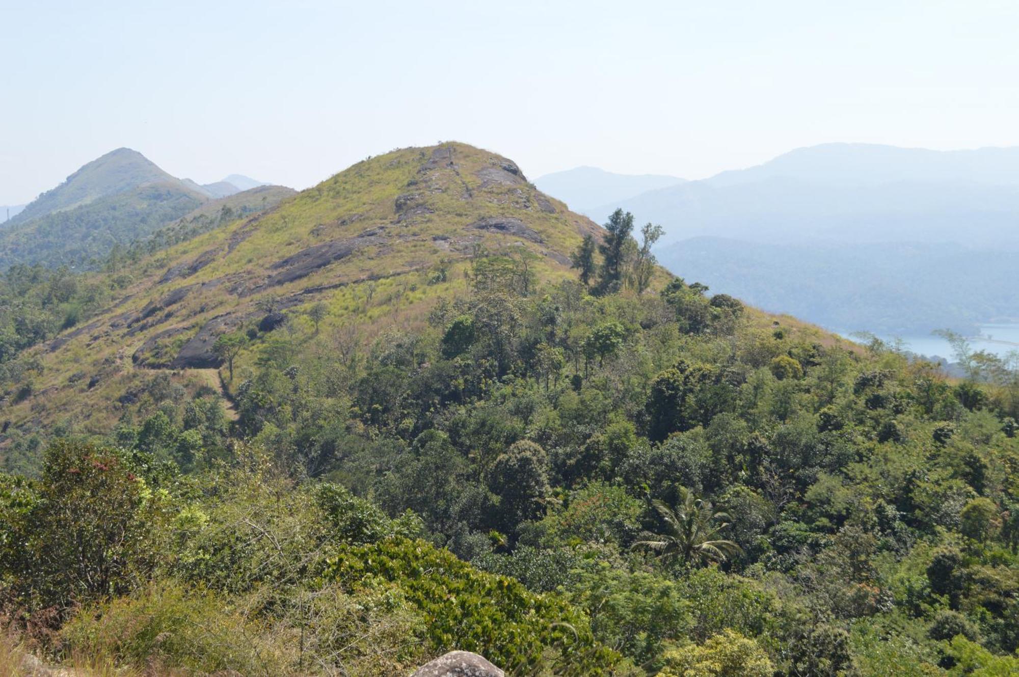 Ashramam Health Resort Kattappana Exterior photo